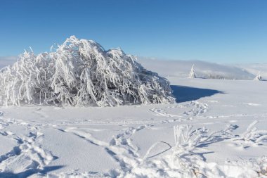 Bulgaristan 'ın Sofya Şehir Bölgesi, Vitosha Dağı' nın Hava Kış Manzarası
