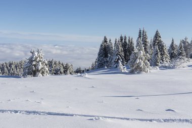 Bulgaristan 'ın Sofya Şehir Bölgesi, Vitosha Dağı' nın Hava Kış Manzarası