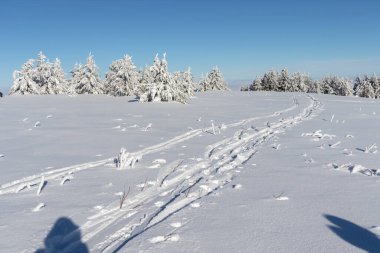 Bulgaristan 'ın Sofya Şehir Bölgesi, Vitosha Dağı' nın Hava Kış Manzarası