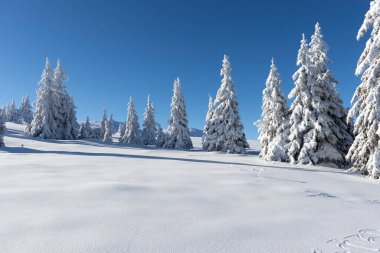 Bulgaristan 'ın Sofya Şehir Bölgesi, Vitosha Dağı' nın Hava Kış Manzarası