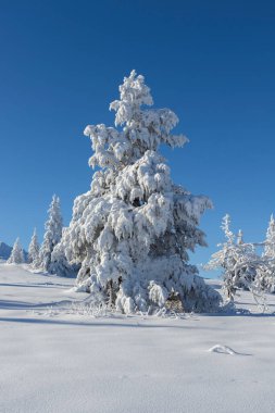 Bulgaristan 'ın Sofya Şehir Bölgesi, Vitosha Dağı' nın Hava Kış Manzarası