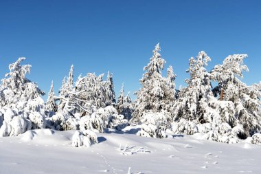 Bulgaristan 'ın Sofya Şehir Bölgesi, Vitosha Dağı' nın Hava Kış Manzarası