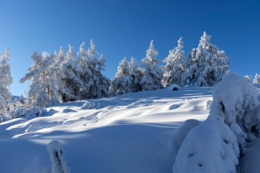 Bulgaristan 'ın Sofya Şehir Bölgesi, Vitosha Dağı' nın Hava Kış Manzarası