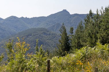 Bulgaristan 'ın Filibe Bölgesi Belintash kenti yakınlarındaki Rodop Dağlarının şaşırtıcı manzarası