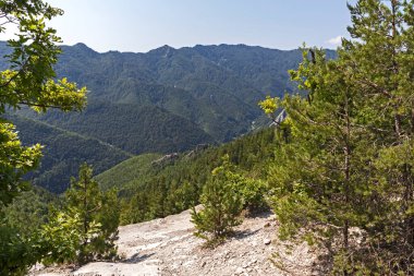 Bulgaristan 'ın Filibe Bölgesi Belintash kenti yakınlarındaki Rodop Dağlarının şaşırtıcı manzarası