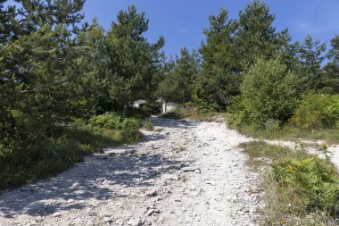 Bulgaristan 'ın Filibe Bölgesi Belintash kenti yakınlarındaki Rodop Dağlarının şaşırtıcı manzarası