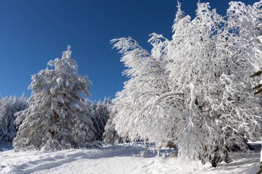 Bulgaristan 'ın Sofya Şehir Bölgesi, Vitosha Dağı' nın Hava Kış Manzarası