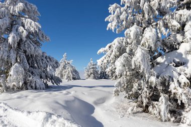Bulgaristan 'ın Sofya Şehir Bölgesi, Vitosha Dağı' nın Hava Kış Manzarası