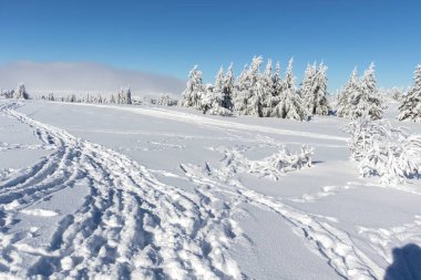 Bulgaristan 'ın Sofya Şehir Bölgesi, Vitosha Dağı' nın Hava Kış Manzarası