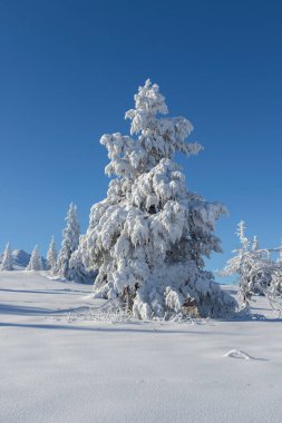 Bulgaristan 'ın Sofya Şehir Bölgesi, Vitosha Dağı' nın Hava Kış Manzarası