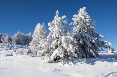 Bulgaristan 'ın Sofya Şehir Bölgesi, Vitosha Dağı' nın Hava Kış Manzarası