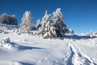 Bulgaristan 'ın Sofya Şehir Bölgesi, Vitosha Dağı' nın Hava Kış Manzarası