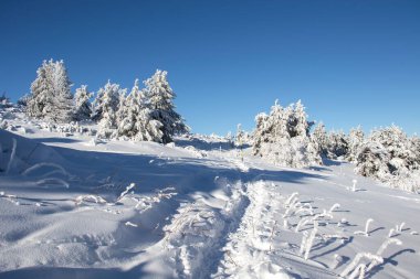 Bulgaristan 'ın Sofya Şehir Bölgesi, Vitosha Dağı' nın Hava Kış Manzarası