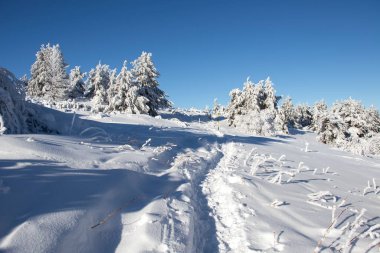 Bulgaristan 'ın Sofya Şehir Bölgesi, Vitosha Dağı' nın Hava Kış Manzarası