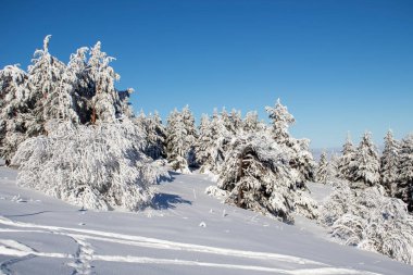 Bulgaristan 'ın Sofya Şehir Bölgesi, Vitosha Dağı' nın Hava Kış Manzarası