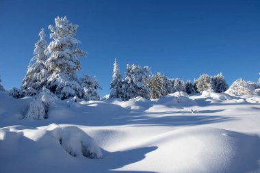 Bulgaristan 'ın Sofya Şehir Bölgesi, Vitosha Dağı' nın Hava Kış Manzarası