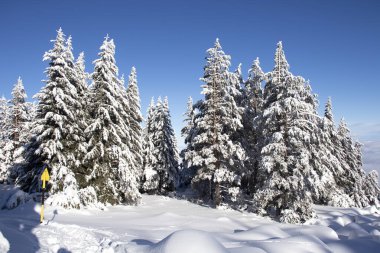 Bulgaristan 'ın Sofya Şehir Bölgesi, Vitosha Dağı' nın Hava Kış Manzarası