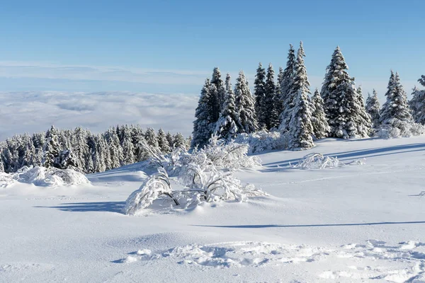 Bulgaristan 'ın Sofya Şehir Bölgesi, Vitosha Dağı' nın Hava Kış Manzarası