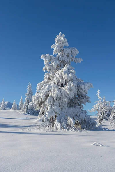 Bulgaristan 'ın Sofya Şehir Bölgesi, Vitosha Dağı' nın Hava Kış Manzarası