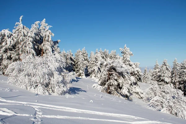Aerial Winter View Vitosha Mountain Sofia City Region Bulgaria — Stock Photo, Image