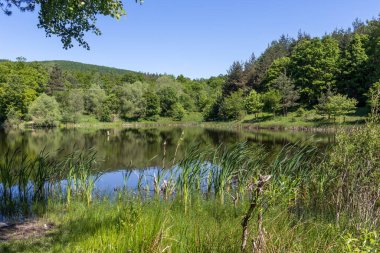 Bulgaristan 'ın Sofya Bölgesi, Lozenska Dağı' ndaki Sua Gabra Gölleri 'nin muhteşem manzarası