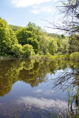 Bulgaristan 'ın Sofya Bölgesi, Lozenska Dağı' ndaki Sua Gabra Gölleri 'nin muhteşem manzarası