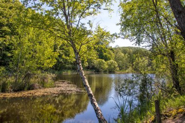 Bulgaristan 'ın Sofya Bölgesi, Lozenska Dağı' ndaki Sua Gabra Gölleri 'nin muhteşem manzarası