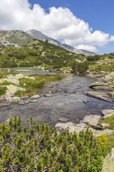 Verbazingwekkend Landschap Met Banderitsa River Pirin Mountain Bulgarije — Stockfoto