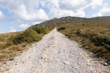 İnanılmaz Sonbahar Manzarası Vitosha Dağı, Sofya Şehir Bölgesi, Bulgaristan