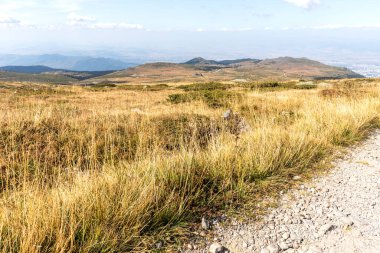 İnanılmaz Sonbahar Manzarası Vitosha Dağı, Sofya Şehir Bölgesi, Bulgaristan