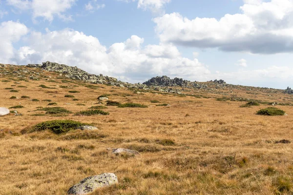 İnanılmaz Sonbahar Manzarası Vitosha Dağı, Sofya Şehir Bölgesi, Bulgaristan
