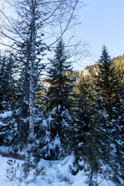 Bulgaristan 'ın Malyovitsa zirvesi yakınlarındaki Rila Dağı' nın şaşırtıcı kış manzarası