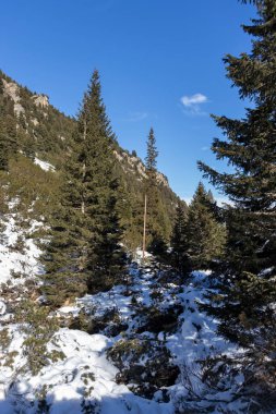 Bulgaristan 'ın Malyovitsa zirvesi yakınlarındaki Rila Dağı' nın şaşırtıcı kış manzarası