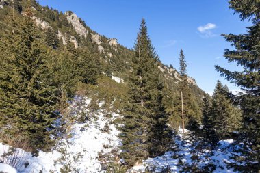 Bulgaristan 'ın Malyovitsa zirvesi yakınlarındaki Rila Dağı' nın şaşırtıcı kış manzarası