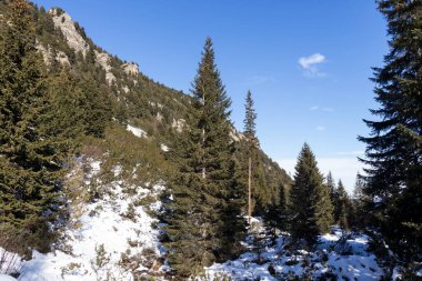 Bulgaristan 'ın Malyovitsa zirvesi yakınlarındaki Rila Dağı' nın şaşırtıcı kış manzarası