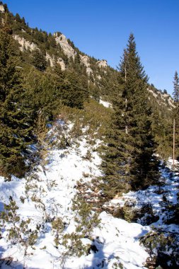 Bulgaristan 'ın Malyovitsa zirvesi yakınlarındaki Rila Dağı' nın şaşırtıcı kış manzarası