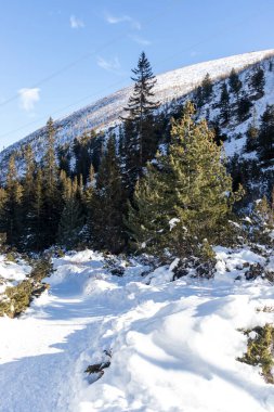 Bulgaristan 'ın Malyovitsa zirvesi yakınlarındaki Rila Dağı' nın şaşırtıcı kış manzarası