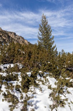 Bulgaristan 'ın Malyovitsa zirvesi yakınlarındaki Rila Dağı' nın şaşırtıcı kış manzarası