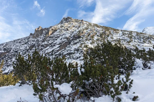 Increíble Paisaje Invernal Montaña Rila Cerca Del Pico Malyovitsa Bulgaria —  Fotos de Stock