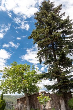 KREMIKOVTSI, SOFIA, BULGARIA - 6 Haziran 2020: Saint George, Sofya Şehir Bölgesi Ortaçağ Kremikovtsi Manastırı, Bulgaristan