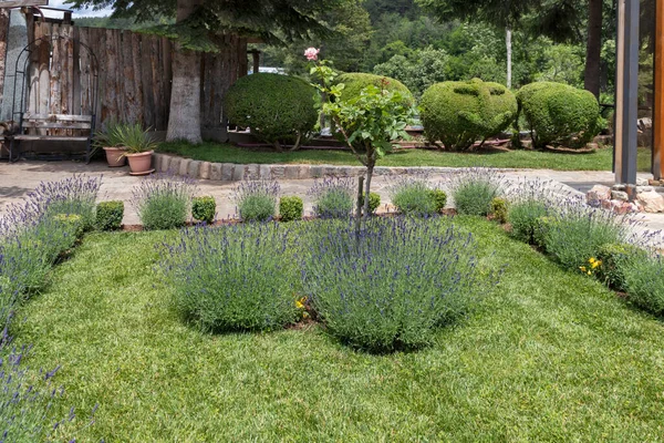 Kremikovtsi Sofia Bulgaria June 2020 Medieval Kremikovtsi Monastery Saint George — 스톡 사진