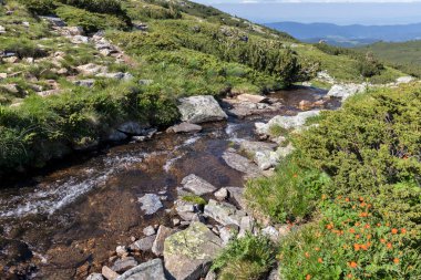 Bulgaristan 'ın Yedi Rila Gölü yakınlarındaki Rila Dağı' nın muhteşem manzarası
