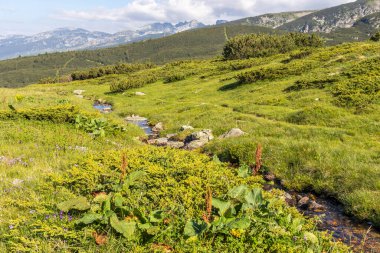 Bulgaristan 'ın Yedi Rila Gölü yakınlarındaki Rila Dağı' nın muhteşem manzarası
