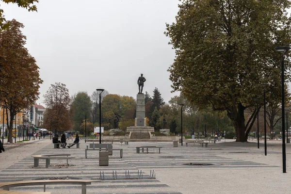 PLEVEN, BULGARIA - 8 Kasım 2020: Bulgaristan 'ın Plevne kentinin Panoraması