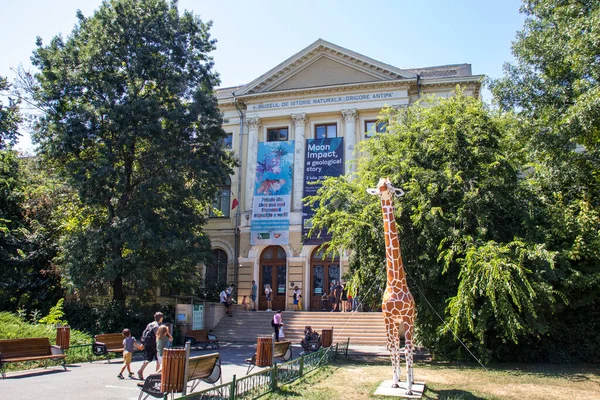 Bucharest Romania August 2021 Grigore Antipa National Museum Natural History — ストック写真