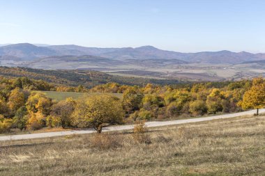 Sonbahar manzara Cherna Gora (Karadağ) Dağı, Pernik bölge, Bulgaristan
