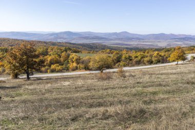 Sonbahar manzara Cherna Gora (Karadağ) Dağı, Pernik bölge, Bulgaristan
