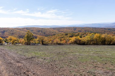 Sonbahar manzara Cherna Gora (Karadağ) Dağı, Pernik bölge, Bulgaristan