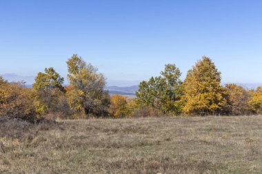Sonbahar manzara Cherna Gora (Karadağ) Dağı, Pernik bölge, Bulgaristan