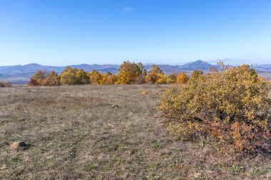 Sonbahar manzara Cherna Gora (Karadağ) Dağı, Pernik bölge, Bulgaristan
